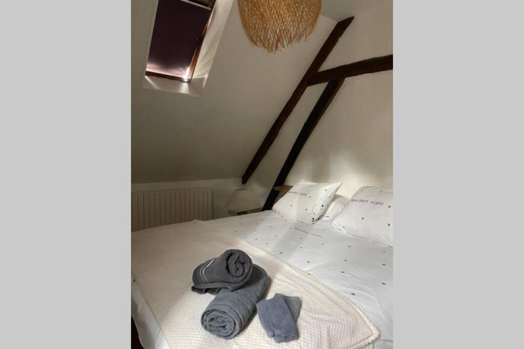 Appartement «La Vie Est Belle» Au Coeur De Sezanne Ngoại thất bức ảnh